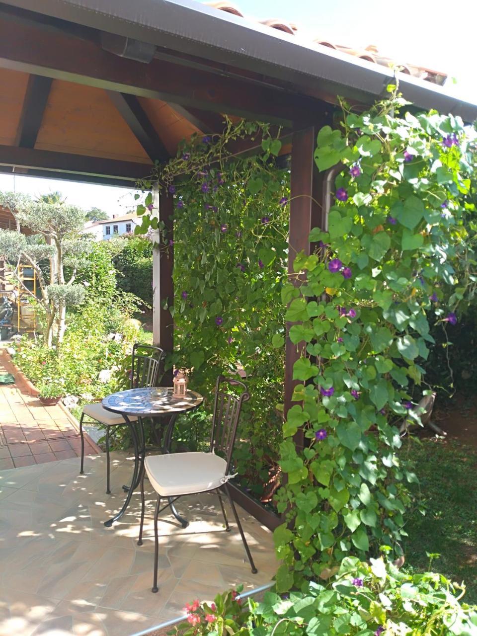 פורץ Apartment Jasna מראה חיצוני תמונה